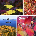 Québec en couleur